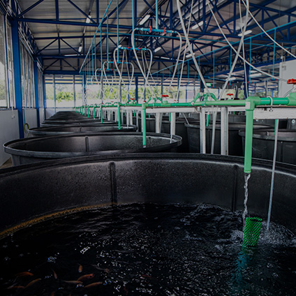 Aqualis testing center in Thailand